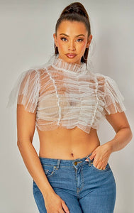 Sheer Ruffle Tulle Crop Top-Multiple Colors