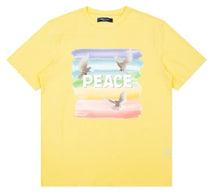 Load image into Gallery viewer, Peace  Mens Graphic Tee