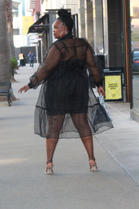 Button Down Organza Dress- Curvy Brat